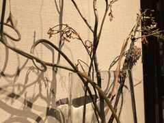 -Carmen卡门西班牙餐厅