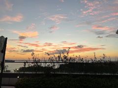 -苏州苏州湾艾美酒店-新食谱全日制餐厅