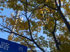 -茶百道(荣科路店)