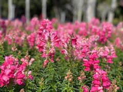 -文华公园(禅城区)