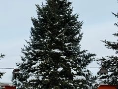 -北极村旅游风景区