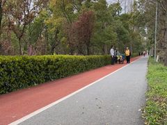 -上海长兴岛郊野公园