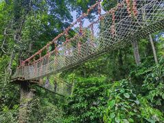 -西双版纳原始森林公园