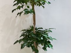 -手舒·采耳按摩·影院足道spa(莫愁湖东路店)