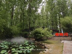 -林间山庄