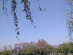 -堤角公园