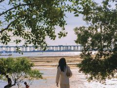 -宝安西湾红树林湿地公园