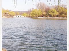 -二一九公园