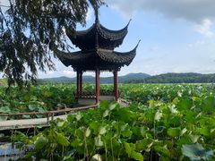 -杭州西子湖四季酒店·金沙厅