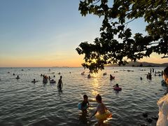 -苏州太湖国家湿地公园