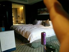 picture-常州环球恐龙城维景国际大酒店