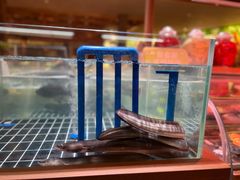 -友记功夫香·人民川菜(红牌楼店)
