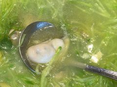 -鲜鲜·鲅鱼圈海鲜(于洪店)