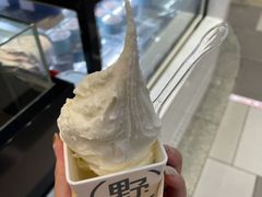 精品榴莲gelato-野人先生现做冰淇淋(西安赛格店)