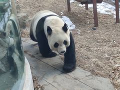 -大连森林动物园