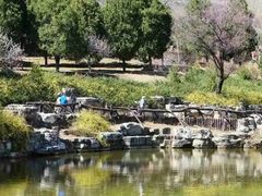 -北京西山国家森林公园