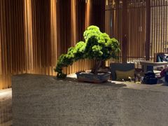-浅深(北京北四环精品店)