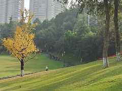 -龙头寺公园