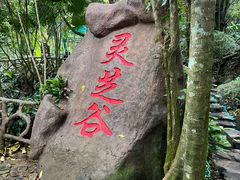 -呀诺达热带雨林