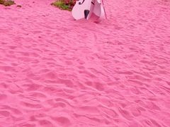 -上海鲜花港