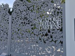 -新加坡植物园