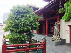 -新加坡佛牙寺龙华院