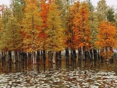 -白鹭湾湿地公园