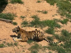 -西霞口神雕山野生动物世界
