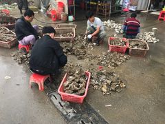 -蚝专家(北滘店)