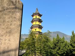 -阿育王寺