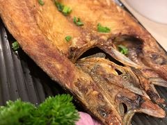 煎鲅鱼-福云龙(黄河南大街店)