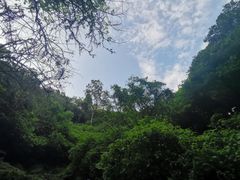 -海口火山口国家地质公园