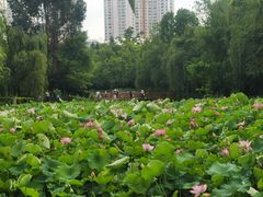-月牙潭公园