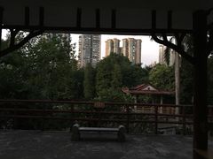 -晓港公园