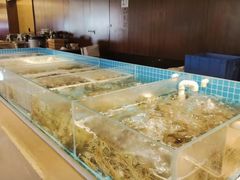 -长沙芙蓉国温德姆至尊豪廷大酒店-自助餐厅