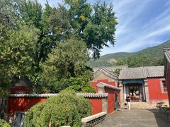 -泰山风景名胜区-普照寺