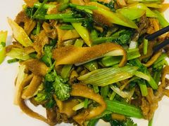 -老阿妈蒙古村·蒙古包·草原文化·歌舞表演(老君堂店)