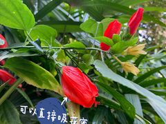 -中山公园(石岐街道)