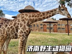 -济南野生动物世界