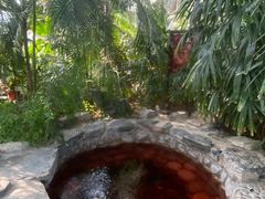 -中家鑫园温泉酒店鑫悦汤泉