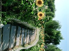 -廊坊文化艺术中心