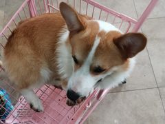 -汪说·狗咖(旺城大厦店)