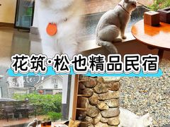 -黄山翡翠谷景区