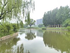 -将府公园