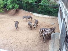 -泉州海丝野生动物世界