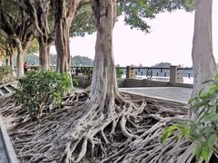 -黄埔古港
