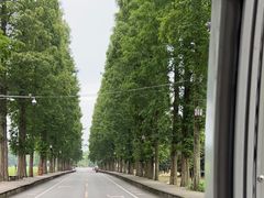 -青城山