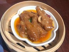-点都德·毕德寮