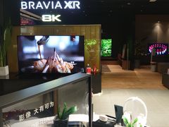 -Sony Store索尼(广州正佳店)