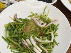 鱿鱼芹菜-渔满仓海鲜渔家(象山二店)